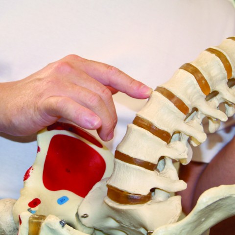 Spinal Adjustment